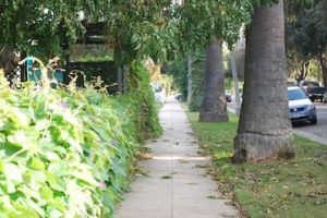Better Neighborhoods | Riverside, CA