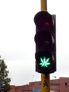 stop light with a marijuana leave lit green